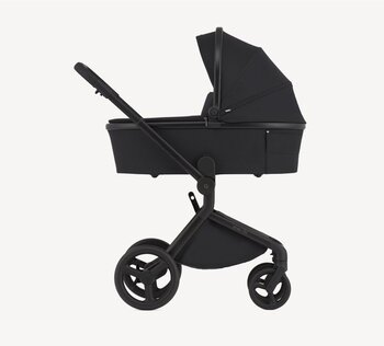 Anex Flo Lungo Kombikinderwagen 2in1
