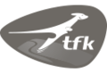 TFK Trends for Kids
